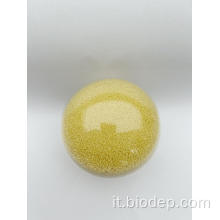 Supplemento dietetico alimentare Lactobacillus plantarum